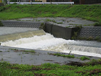 梅雨の大雨で増水している天白川