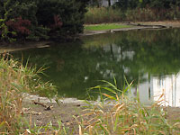 赤池　池殺生？