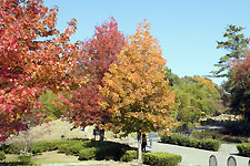 名古屋市牧野が池公園