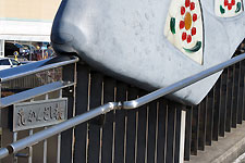 日進市香久山MIO近くの歩道橋「はなかんざし橋」