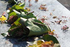 木の葉でお店屋さんごっこ