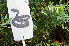 リアルなまむしの看板