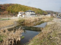 水質検査では意外にキレイな日進市の三本木川