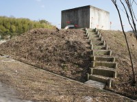 コレは何ですか？？