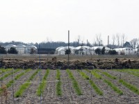 愛知県農業総合試験場