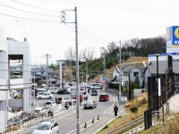 どんどん発展する竹の山