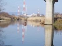陽気な天白側に写る橋