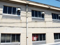 おい！バスケ部