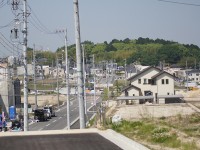 緑が際立つ州原神社の山