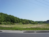 天白川の源流がすぐそこに