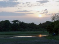 田んぼに映る夕日