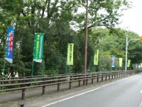 不穏な感じがするのぼり