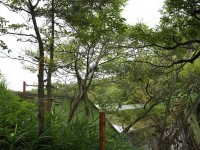 これ以上は進めません