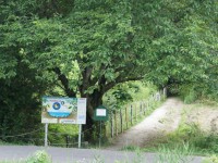 そろそろ蛍が光る季節かな