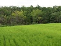 ここから日進市