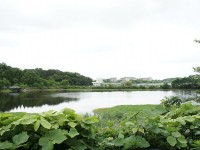 釣り人がいっぱい