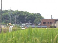 ただいま監視中