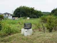 椅子から毛が生えている