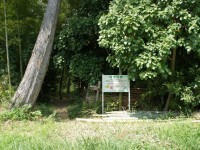 賢者の森には誰がいる？