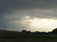 「天使のはしご」と言うらしい