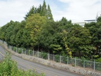 豊田研修センターの裏