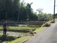 米の収穫のあと