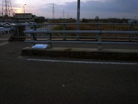 寒くなってきましたね