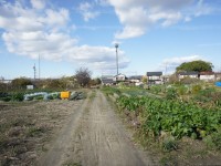 畑がひろがる抜け道