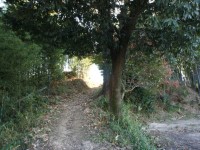 トンネルをくぐるとそこは畑