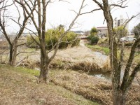 左から北新田川