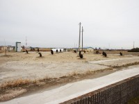 からすの一休み