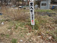 黒へびってなに？