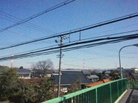 電線に手が届く