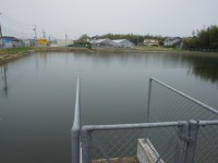 東池の水はどこからくるの？