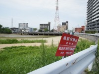 商業地に変わるようです