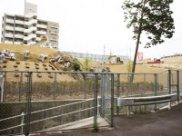 弁天池の公園整備