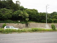 この階段はどこへ続くのかな？