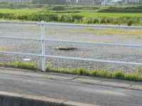 空き地にマンホール