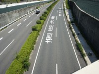 道路の白文字