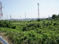 日進変電所の北側にある池