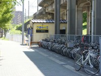 ひまわりステーション２