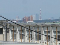 名古屋駅を眺める