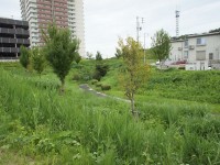米野木駅への道