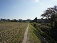 折戸川の土手道