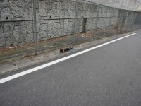 ポールが落ちてる