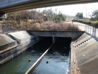 愛知池への入口トンネル