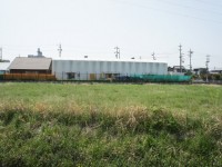 エコドームの裏