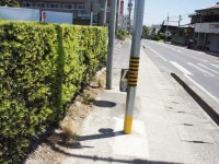 横断するときの旗