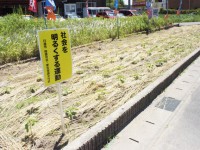 社会を明るくする運動