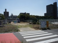 公園撤去中